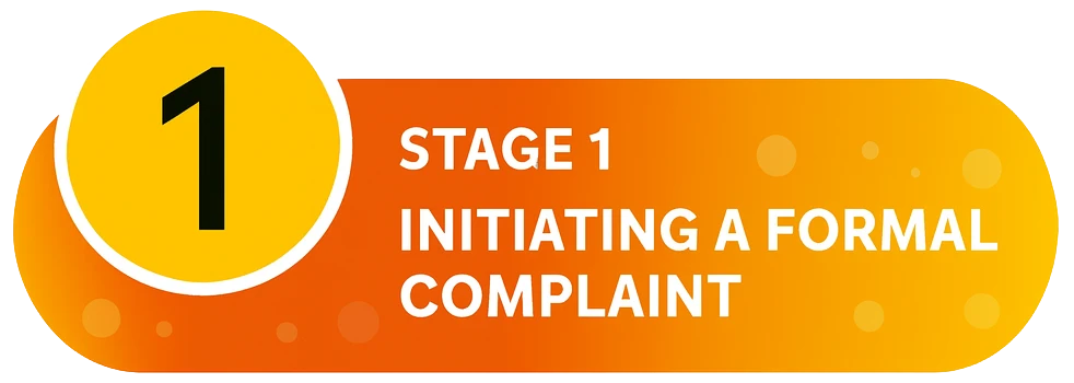 Stage 1: Initiating a Formal Complaint