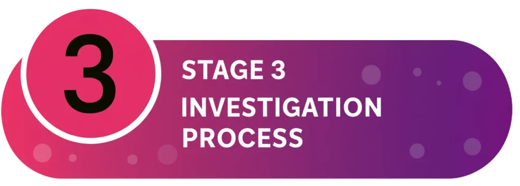 Stage 3: Investigation Process